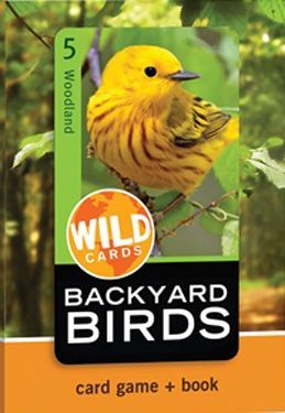 Wild Cards: Backyard Birds