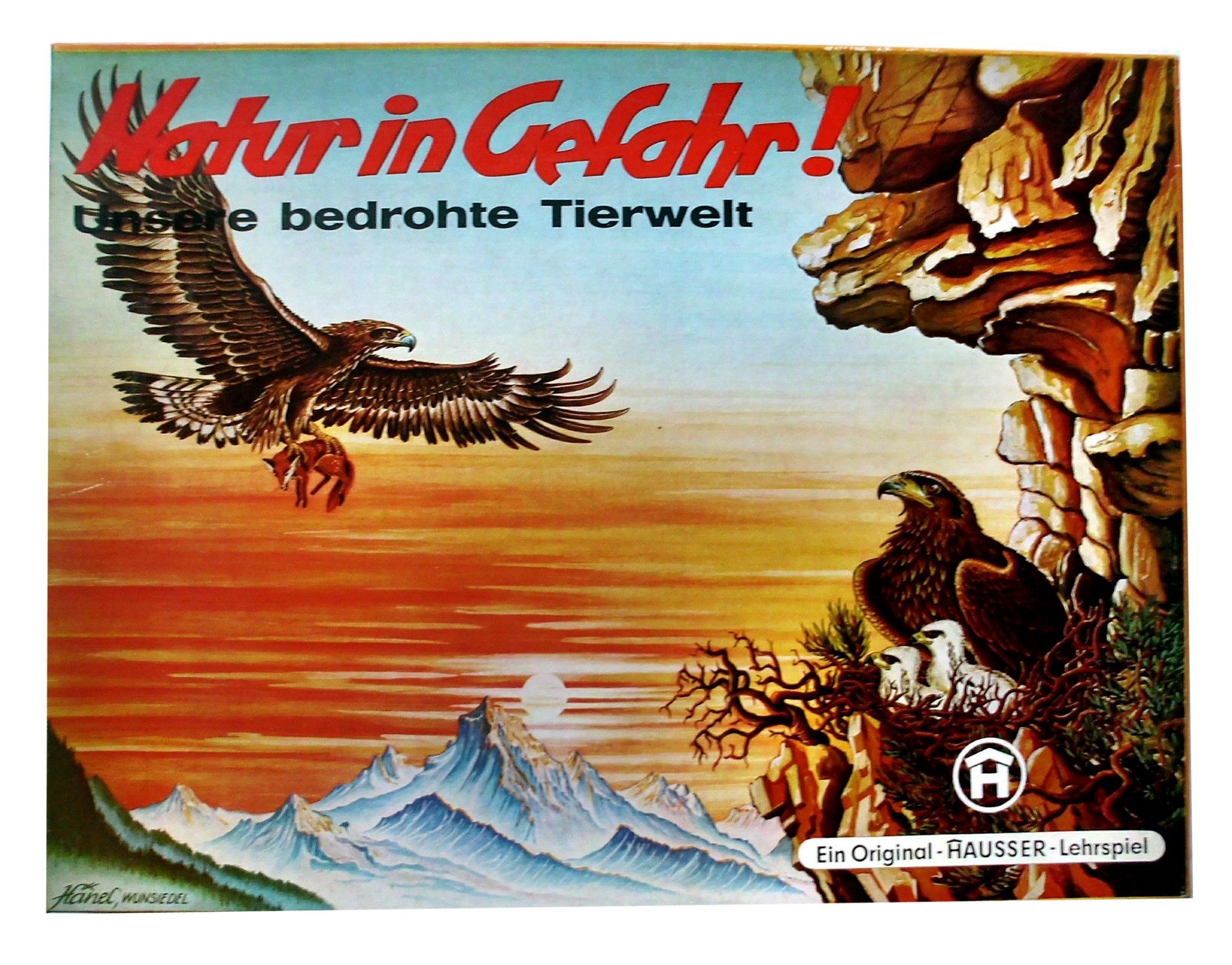 Natur in Gefahr: Unsere bedrohte Tierwelt