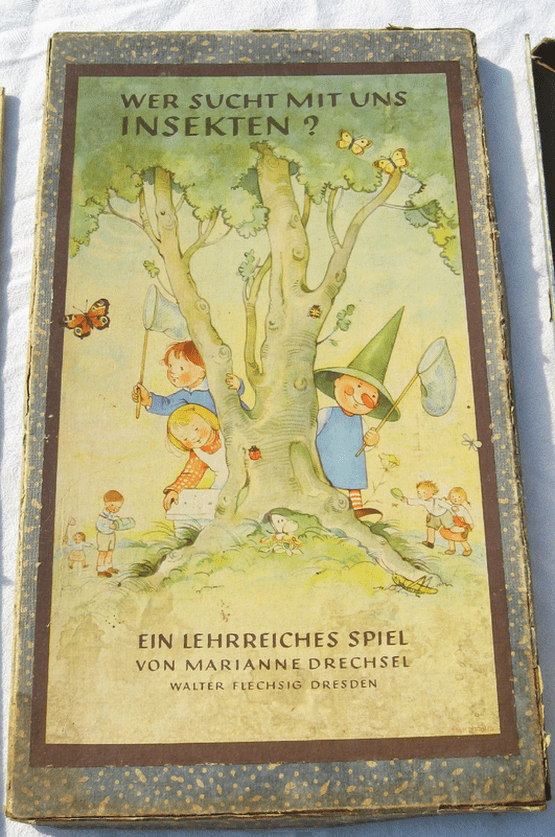 Wer sucht mit uns Insekten?