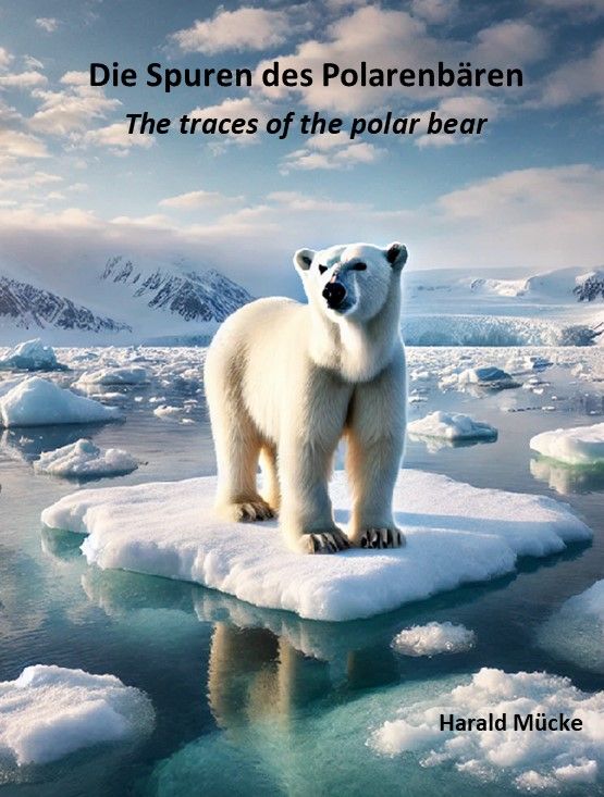 Traces of the polar bear