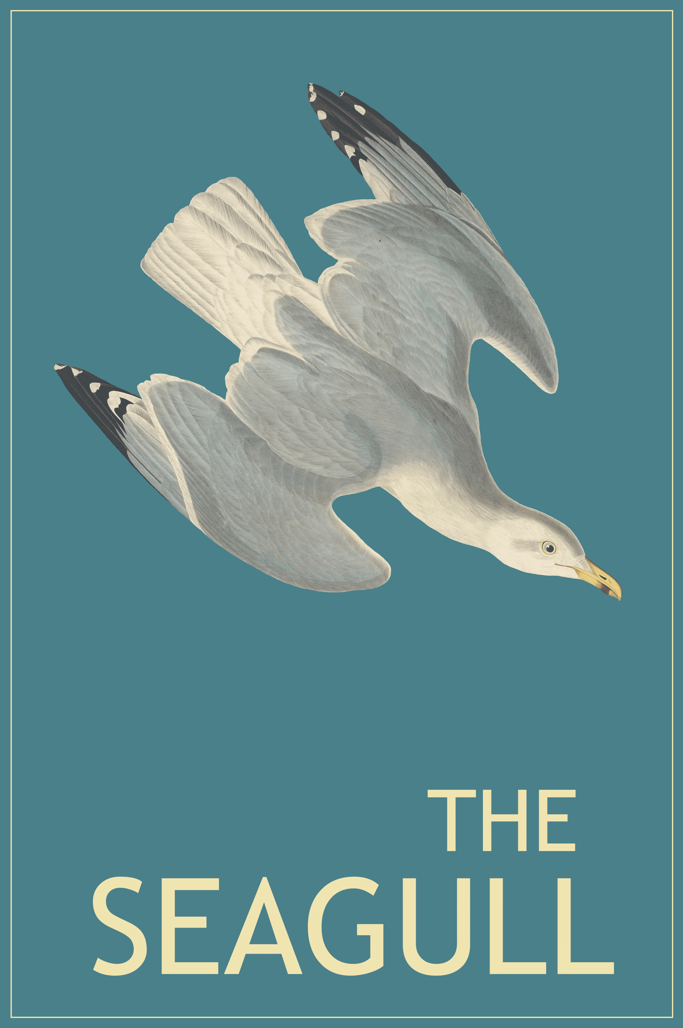The Seagull