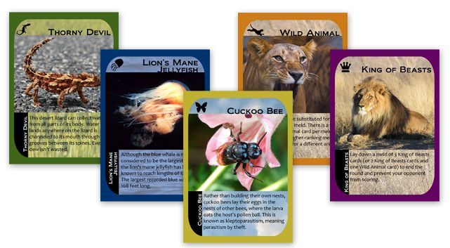 Untamed: A Rummy Revolution